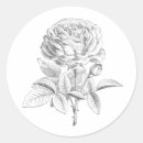 Search for black and white roses stickers Flowers