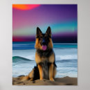 Search for german shepherd posters Nature