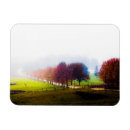 Search for magnetic fields cards Superstock