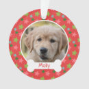 Search for create star christmas tree decorations Cute