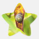 Search for shells star stickers Pattern