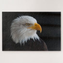 Search for brown beak Animal