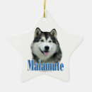 Search for malamute christmas tree decorations Alaskan malamute dog