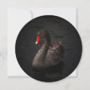 Search for black swan invitations Gothic