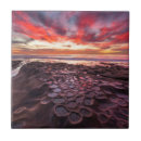 Search for tide pool tiles Coast