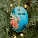 Search for scuba christmas tree decorations Sports
