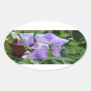 Search for rain drop stickers Flower