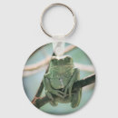Search for green tree frog key rings Cute