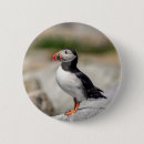 Search for atlantic islands badges Outdoors