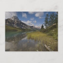 Search for waterfowl postcards Park