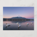 Search for volcano cards Snowcapped mountain