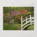 Search for north carolina state postcards Colourful