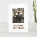 Search for attention getting Birthday