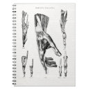 Search for human anatomy notebooks Vintage