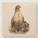 Search for fowl barware Animal