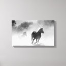 Search for black horse canvas prints Photography