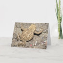 Search for crawl cards Wildlife