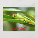 Search for red leaf postcards Colourful