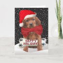 Search for irish setter christmas cards Santa