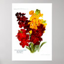 Search for wallflower posters Vintage
