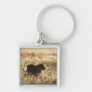 Search for long tail key rings Animals in the wild