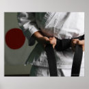 Search for taekwondo posters Strength