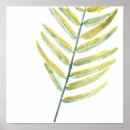 Search for impression posters Tropical