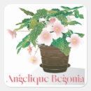 Search for begonia stickers Pink