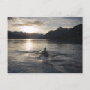 Search for glacier national park postcards Summer