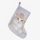 Search for orange cat christmas stockings Cute