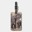 Search for environment luggage tags Nature