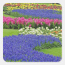 Search for hyacinth stickers Bloom