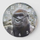 Search for silverback gorilla clocks Primate