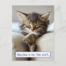 Search for nap invitations Kitten