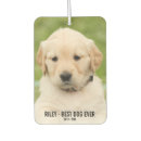 Search for dog car air fresheners Best dog ever