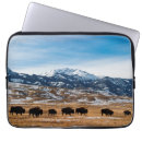 Search for migrate electronics Landscape