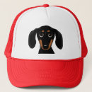 Search for coated hats Dog