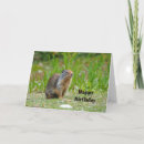 Search for prairie dog cards Rodent