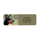 Search for doberman dog return address labels Dobie