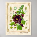 Search for flowering plants posters For her