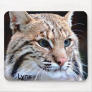 Search for big cat mousemats electronics Animal