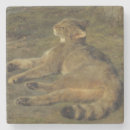 Search for wild cats coasters Feline