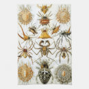 Search for science tea towels Ernst haeckel