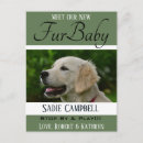 Search for new puppy announcement postcards Pets