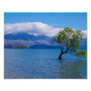Search for wanaka posters Tree