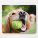 Search for fetch mouse mats Animal