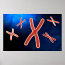 Search for biochemistry posters Dna