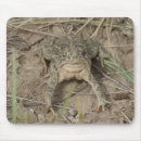 Search for toad mouse mats Amphibian