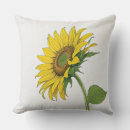 Search for sunlit Sunflower