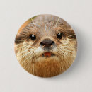Search for claws badges Animal